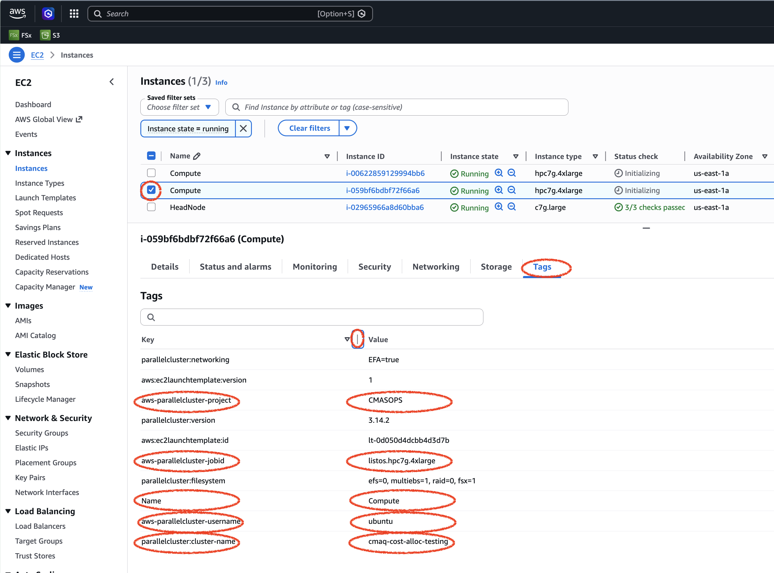 AWS Console EC2 Display Tags applied to compute node